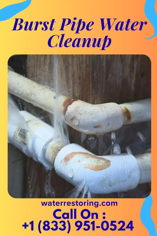 Burst Pipe Water Cleanup in Clintonville, PA