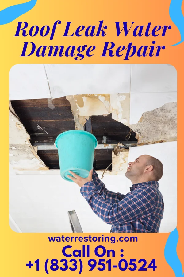 Roof Leak Water Damage Repair in Clintonville, PA