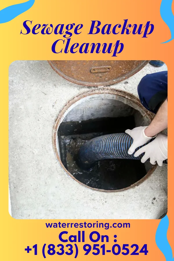 Sewage Backup Cleanup in Clintonville, PA