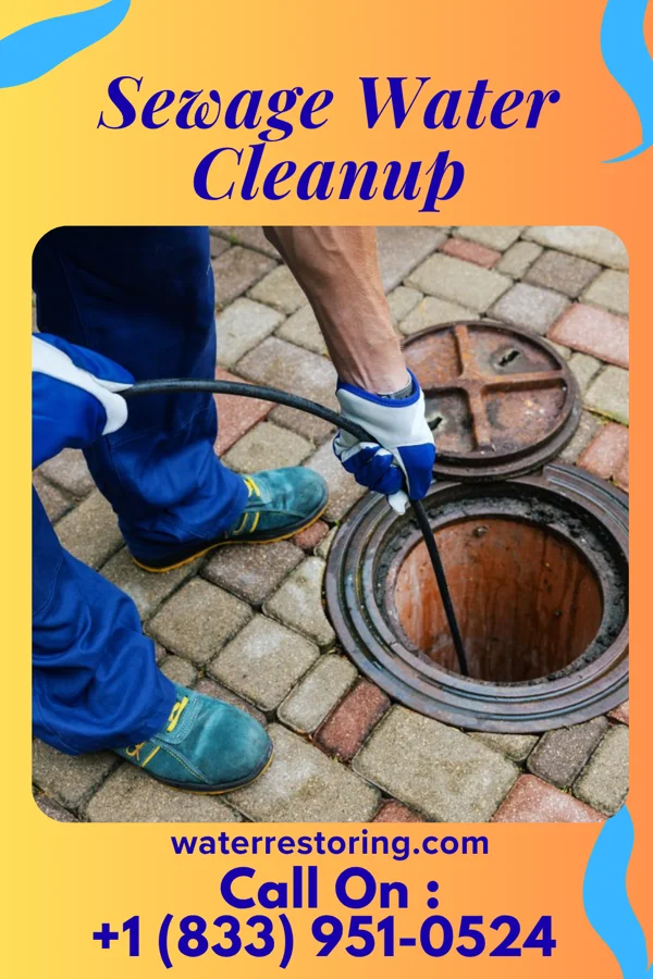 Sewage Water Cleanup in Clintonville, PA