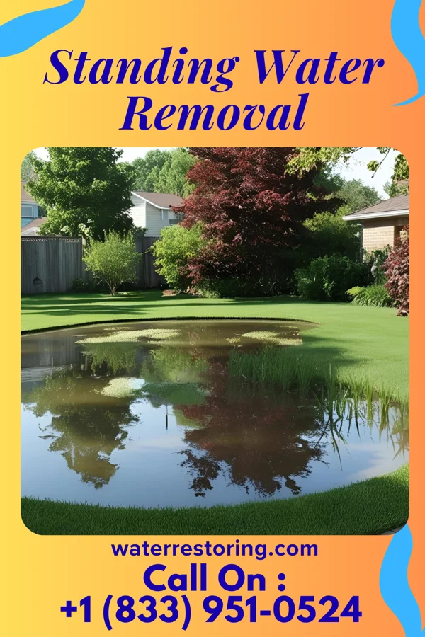 Standing Water Removal in Clintonville, PA